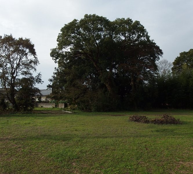 光桂寺・庫裏ができるまでの話③　2025.11.26